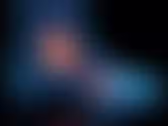 Knee joint